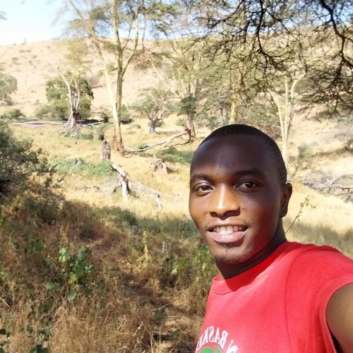 Alex N. profile photo