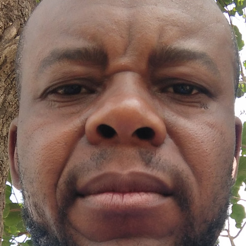 Adam M. profile photo