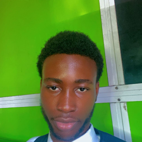 Olayemi T. profile photo