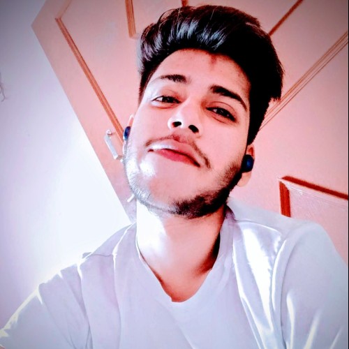 Parth Y.