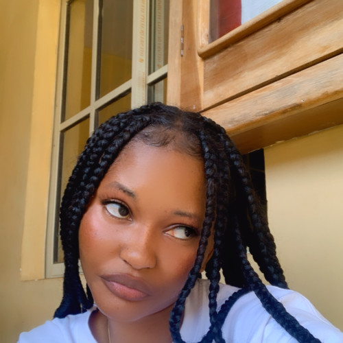 Oluwadamilola  A. profile photo