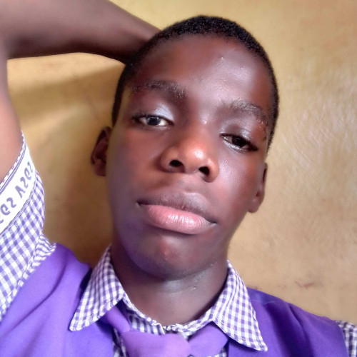 Daniel A. profile photo
