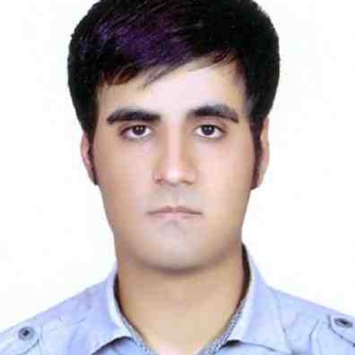 masoud h.