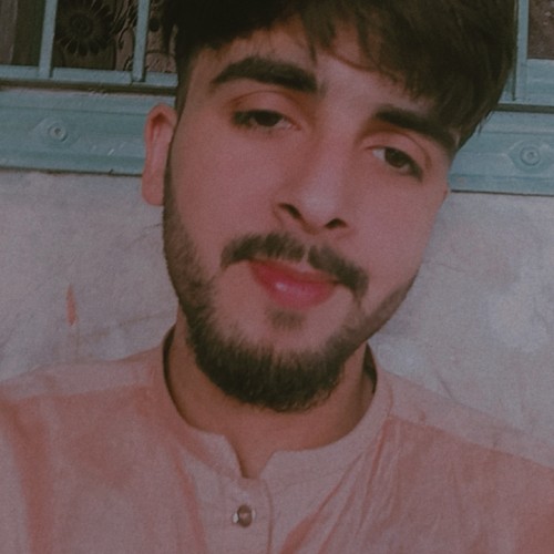 Ali S. profile photo