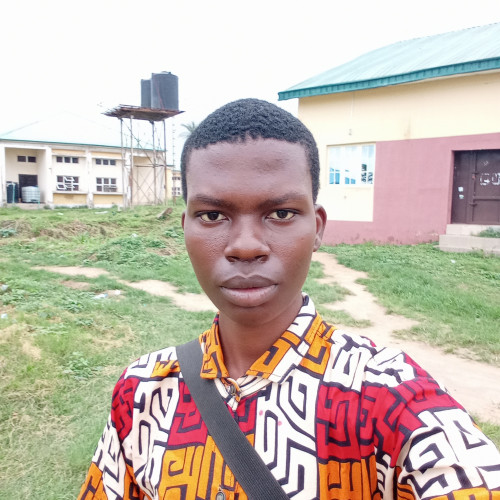 Sunmibola A. profile photo