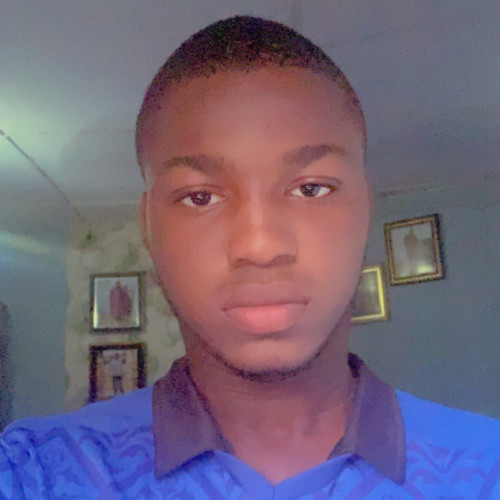 Hamid A. profile photo