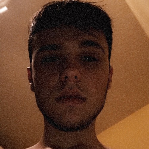 Maxime D. profile photo