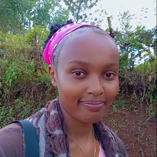 Cynthia  N. profile photo