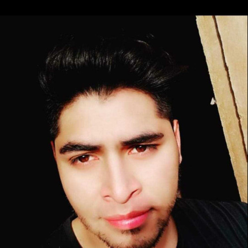 Brandon M. profile photo