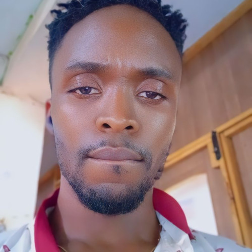Chisom A. profile photo