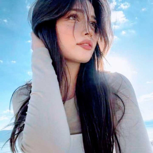 Labssairi N. profile photo