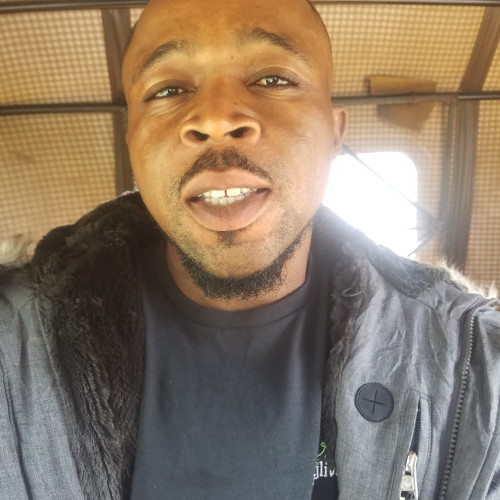 Rasheed  M. profile photo