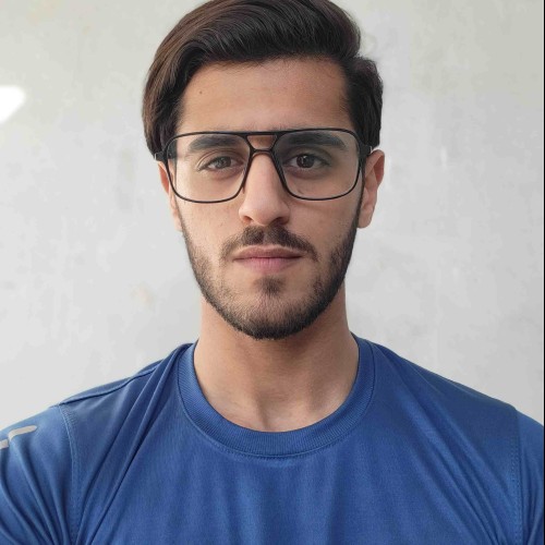Ameer Hamza Q.