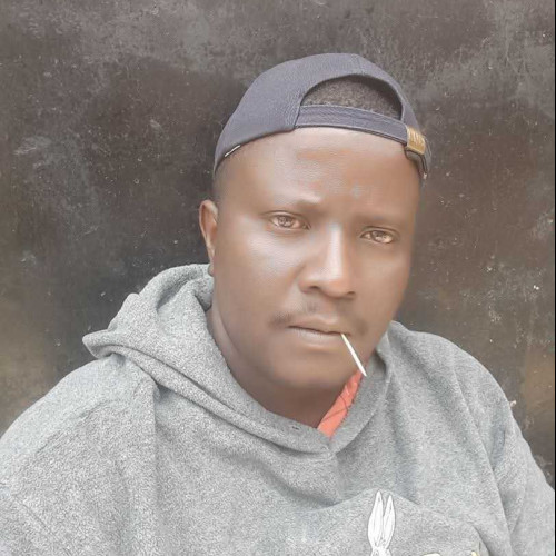 Ally M. profile photo