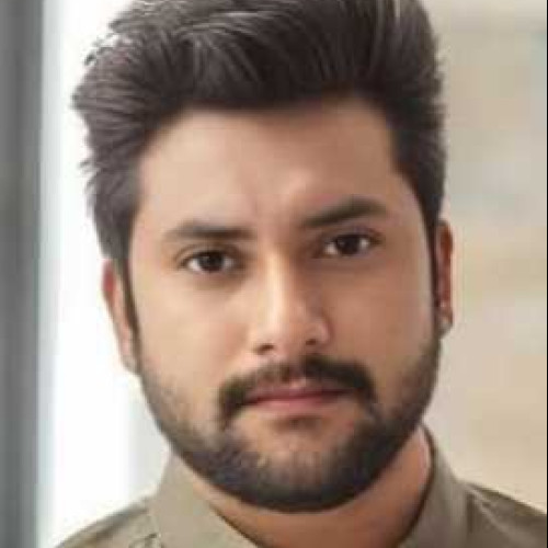 mithilesh P.