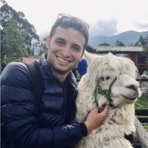 Francesco L. profile photo