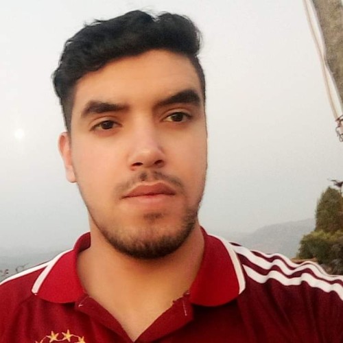 Mohamed E.