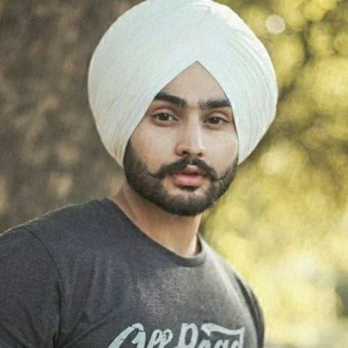 Manveer S. profile photo