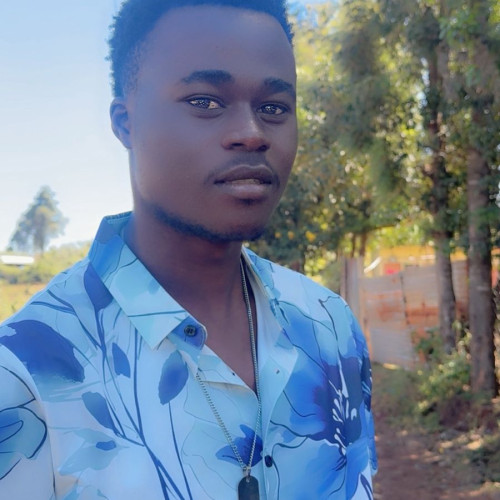 Alvin L. profile photo