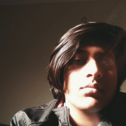 Shahmeer H.