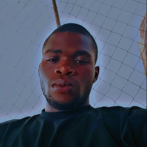 Tochukwu S. profile photo