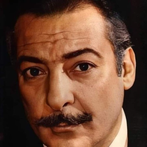 Ahmed M. profile photo