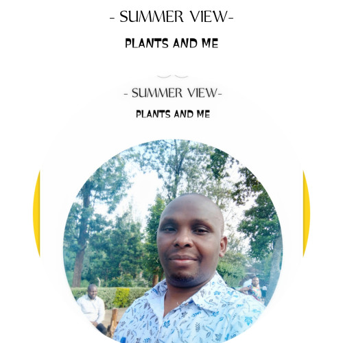 Wesley O. profile photo