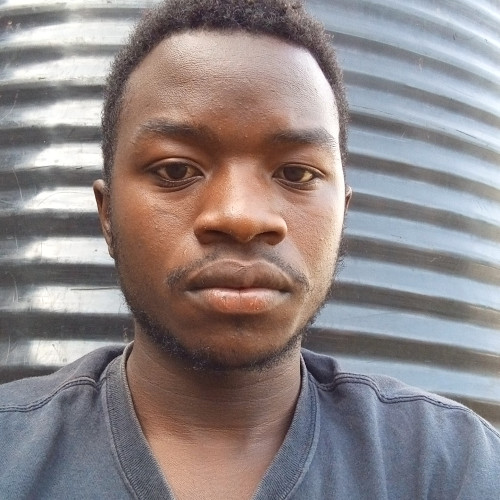 NICK N. profile photo