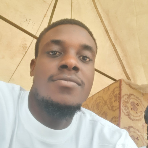 olamuyiwa  S. profile photo