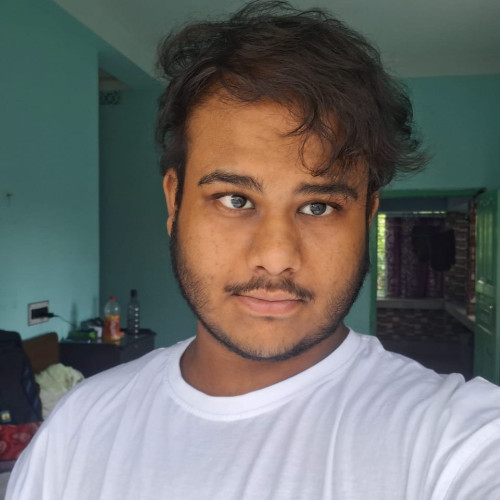 Ronit B. profile photo