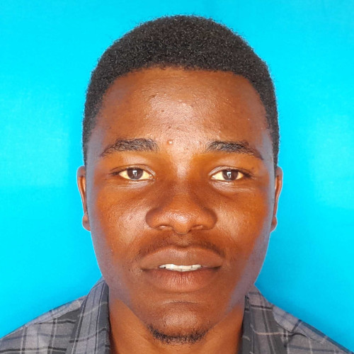 Anody M. profile photo