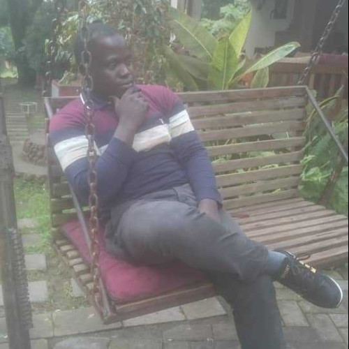 bazalanga n.