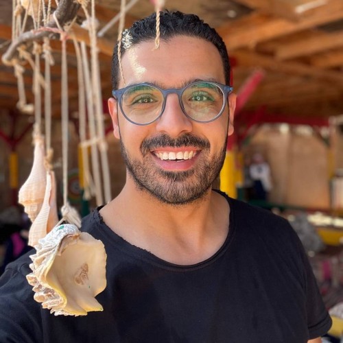 Ahmed H. profile photo