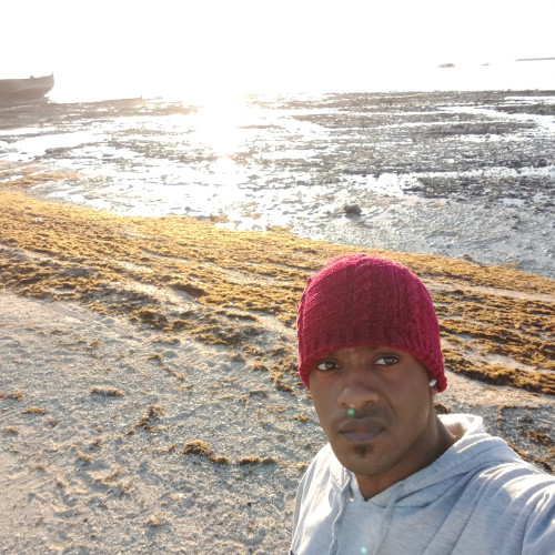 Kelvin  N. profile photo