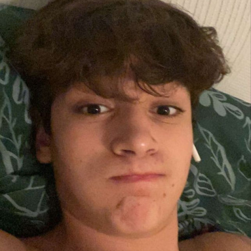 Dominik K. profile photo