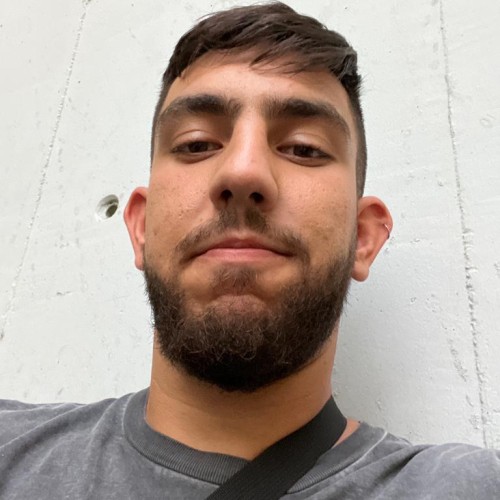 Aviv N.