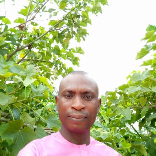 Omoghagha  O.