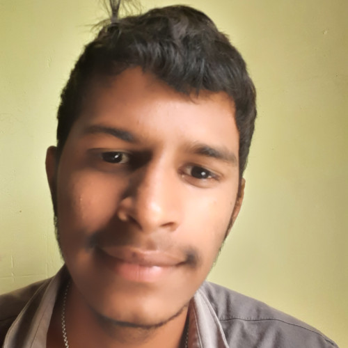 Balu N. profile photo