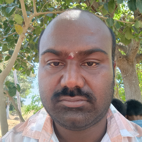 Pramod K. profile photo