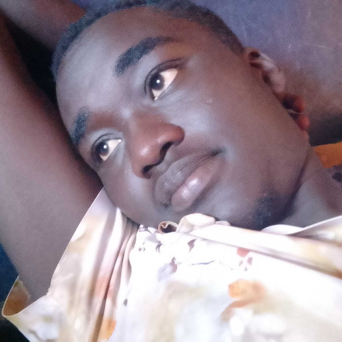 monti f. profile photo