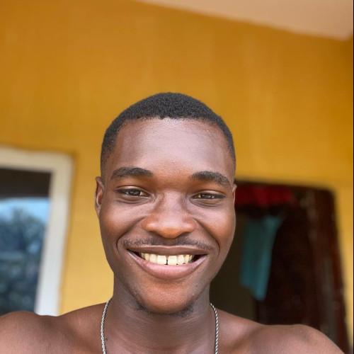 Emmanuel  O. profile photo