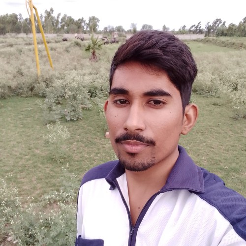 Aqib  Z.