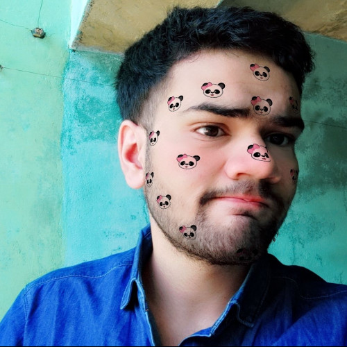 Rishi  P. profile photo