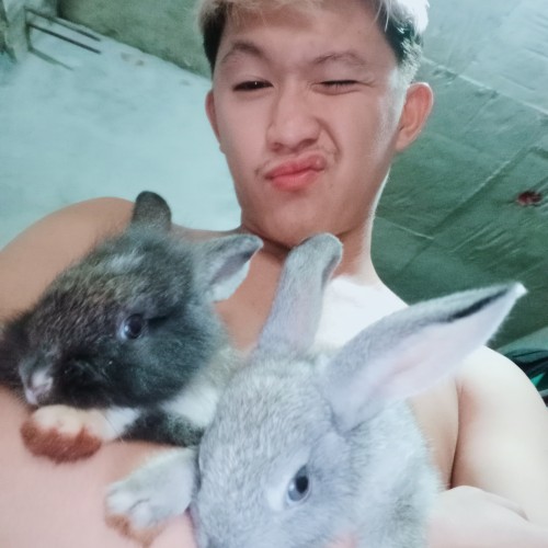 kimver r. profile photo