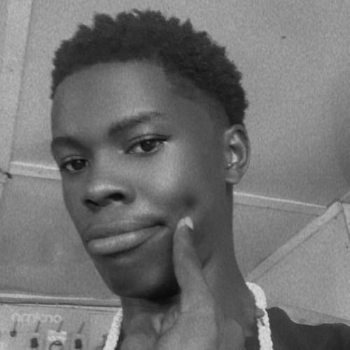 Oluwagbenga  T. profile photo