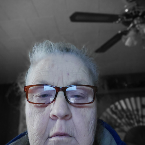 ANN H. profile photo
