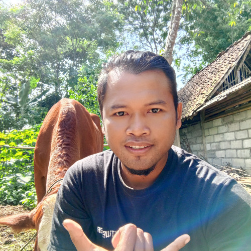 Hestu T. profile photo