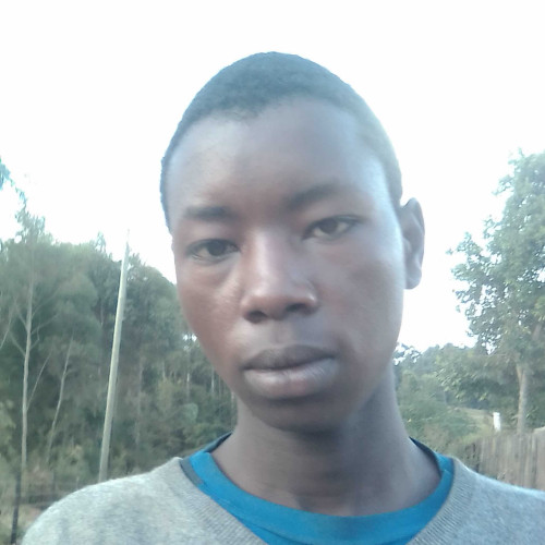 Joseph N. profile photo