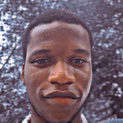 Ibukun O. profile photo