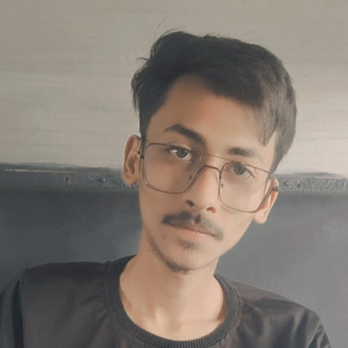 Ansari s. profile photo